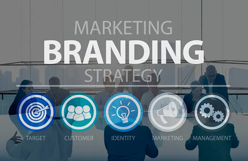 Branding complet - Image de marque